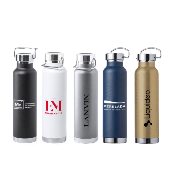 650ml Gourde isotherme double paroi SHAM.